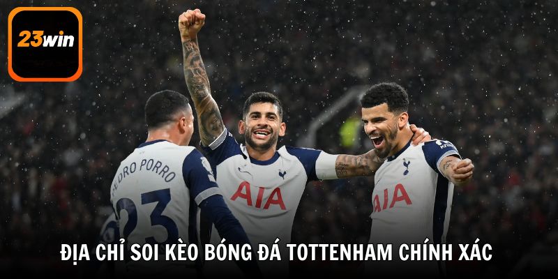 Địa chỉ nhận định kèo Tottenham chính xác nhất hiện nay