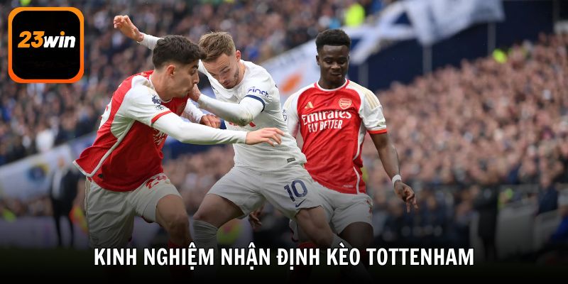 Những kinh nghiệm nhận định kèo Tottenham cực chuẩn từ các cao thủ